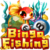 Bingo Fishing arena on spinplus