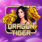 Dragon Tiger live dealer room on spinplus